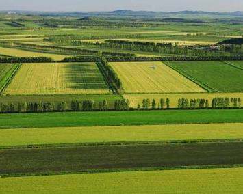 平原(一种地貌形态) 搜狗百科