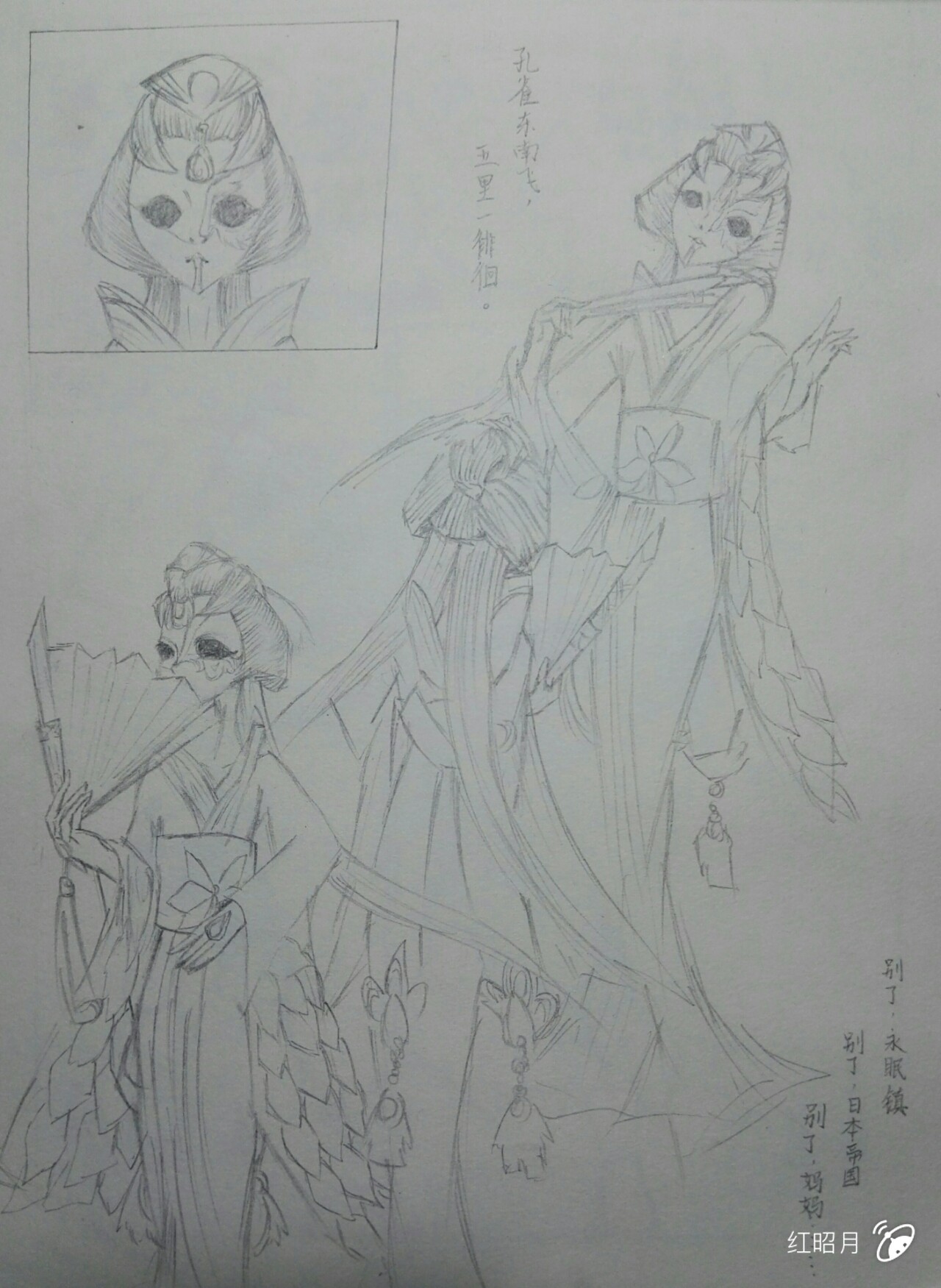 红蝶小姐姐紫孔雀