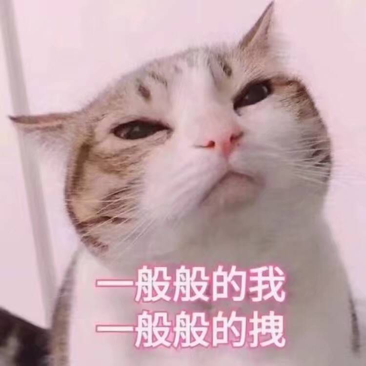 我很拽哦