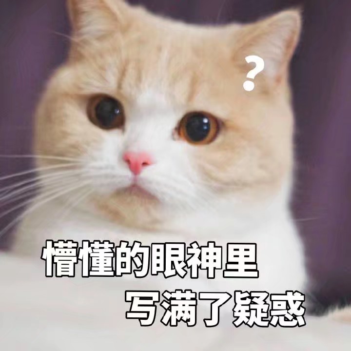 小小的脑袋,大大的疑惑