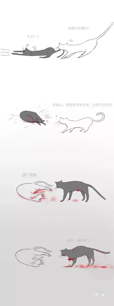 【薛晓】猫