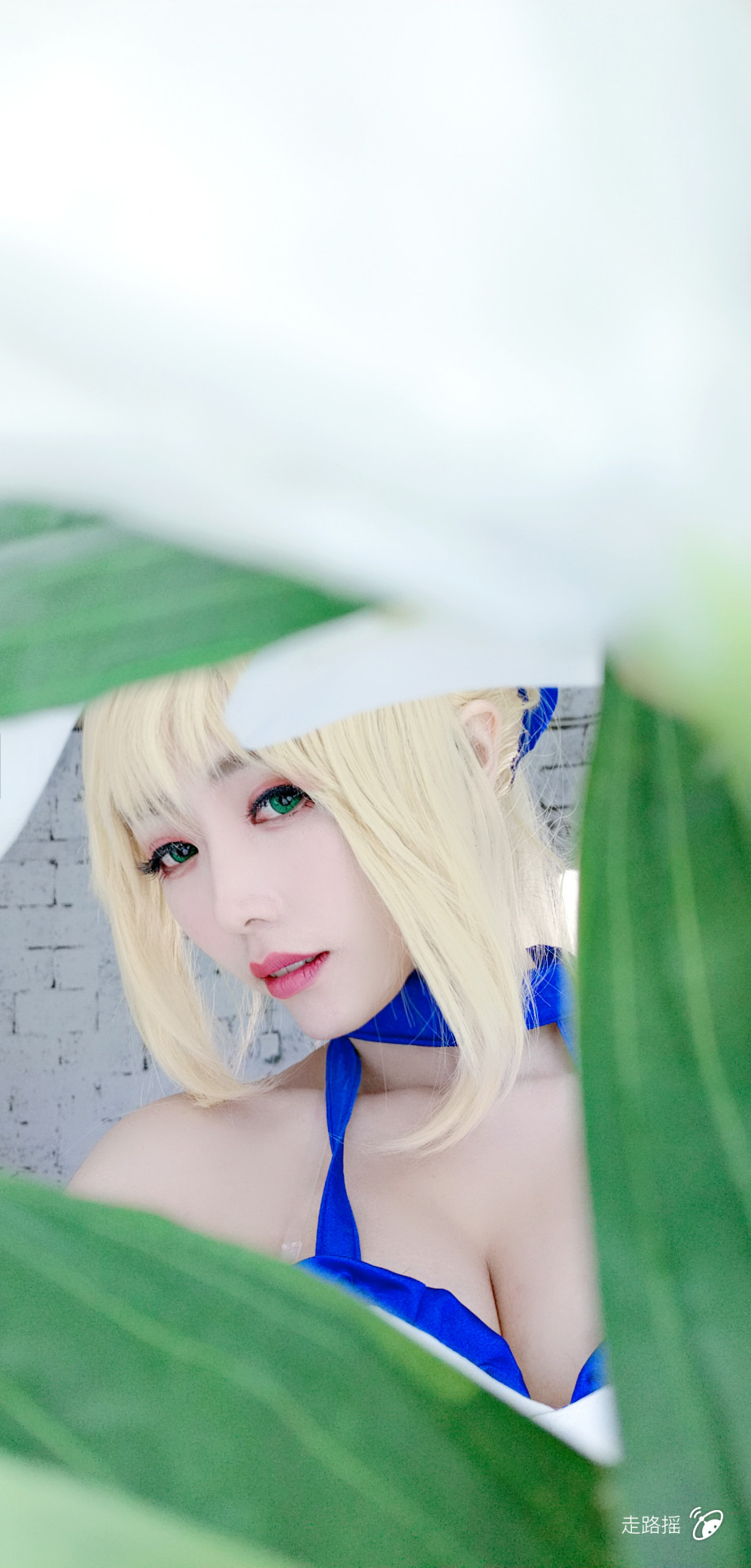 【综合】fate/zero 型月10周年塞巴莉莉 蓝百合礼服