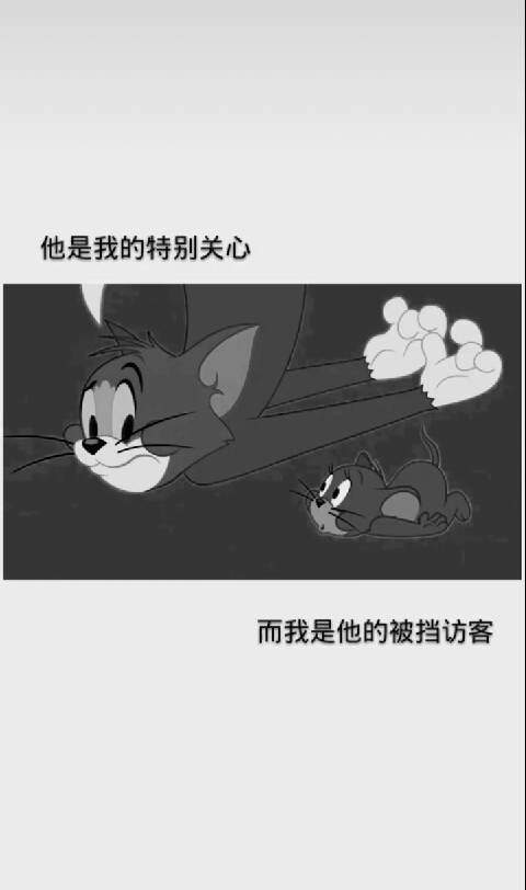 伤感猫和老鼠