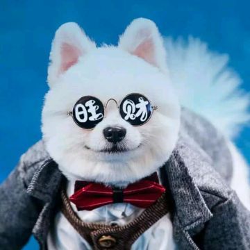 罗小黑战记凭什么超越哪吒,看到这一幕后,黑粉们瞬间闭嘴!