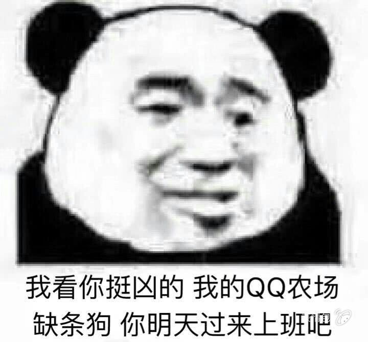 大家好,我是流泪熊猫头,今天不说脏话~~只是感叹!