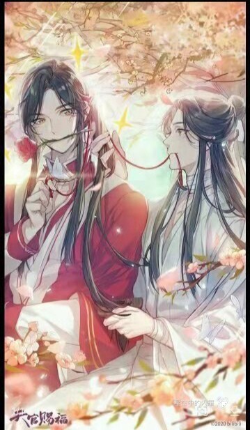 天官赐福的花城和谢怜