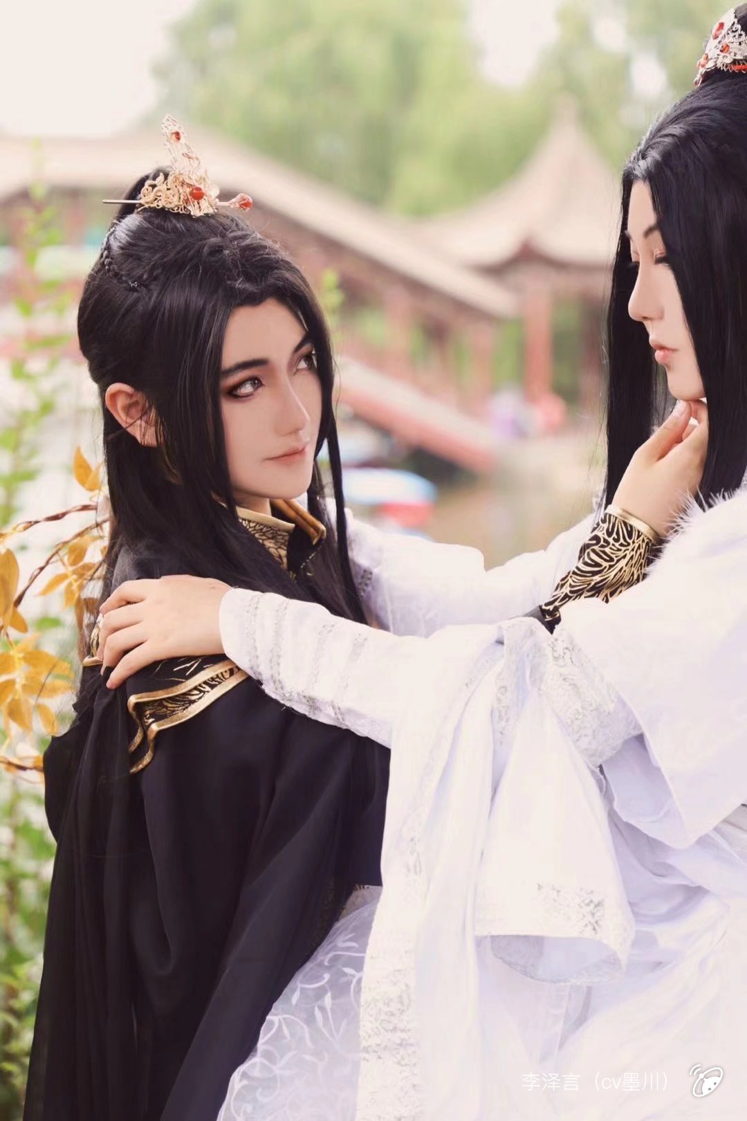 二哈和他的白猫师尊