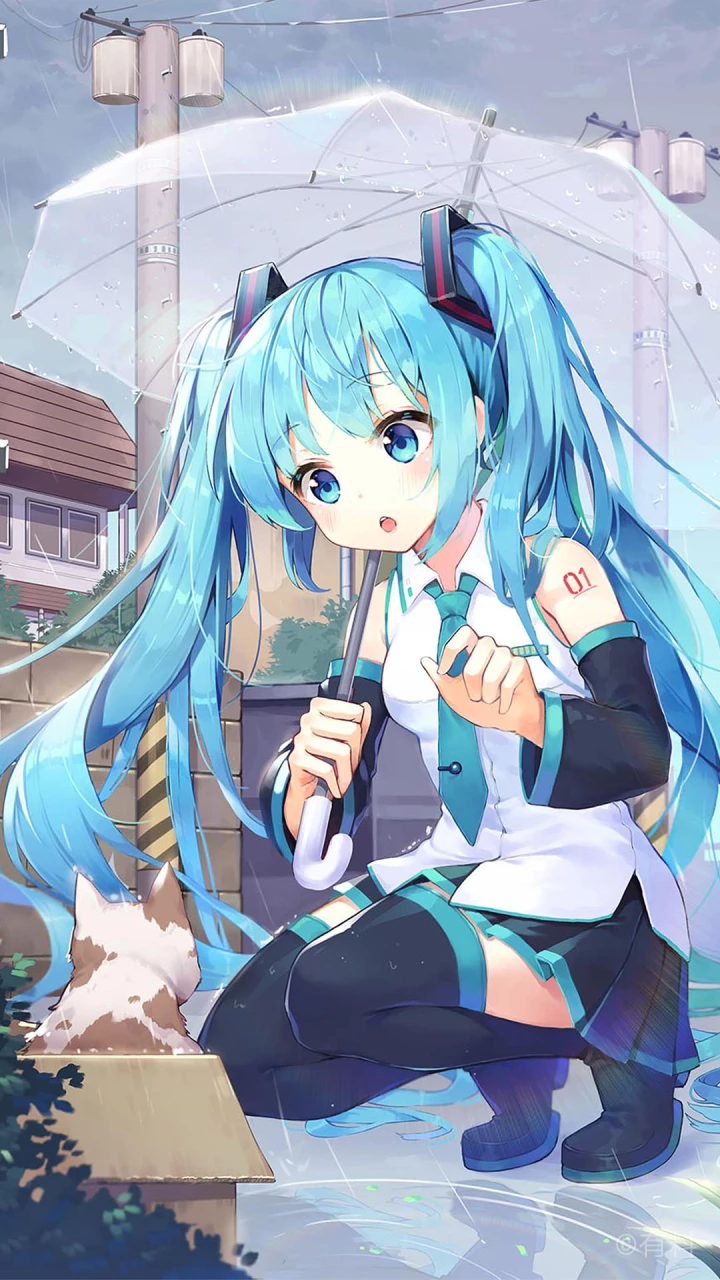 撑伞走在雨中的少女,突然发现路边有一只脏兮兮的猫咪,她将带它离开
