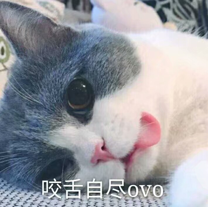 哼,你的小可爱生气了