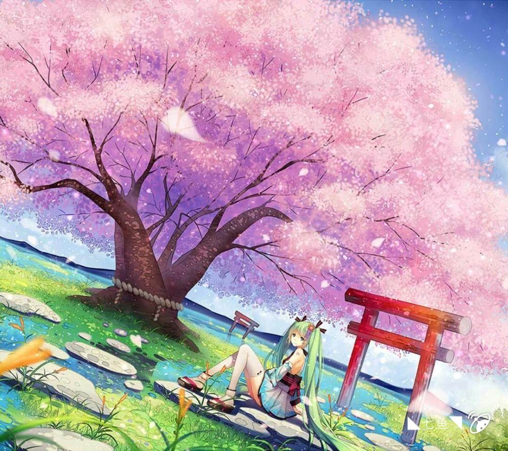 樱花树下