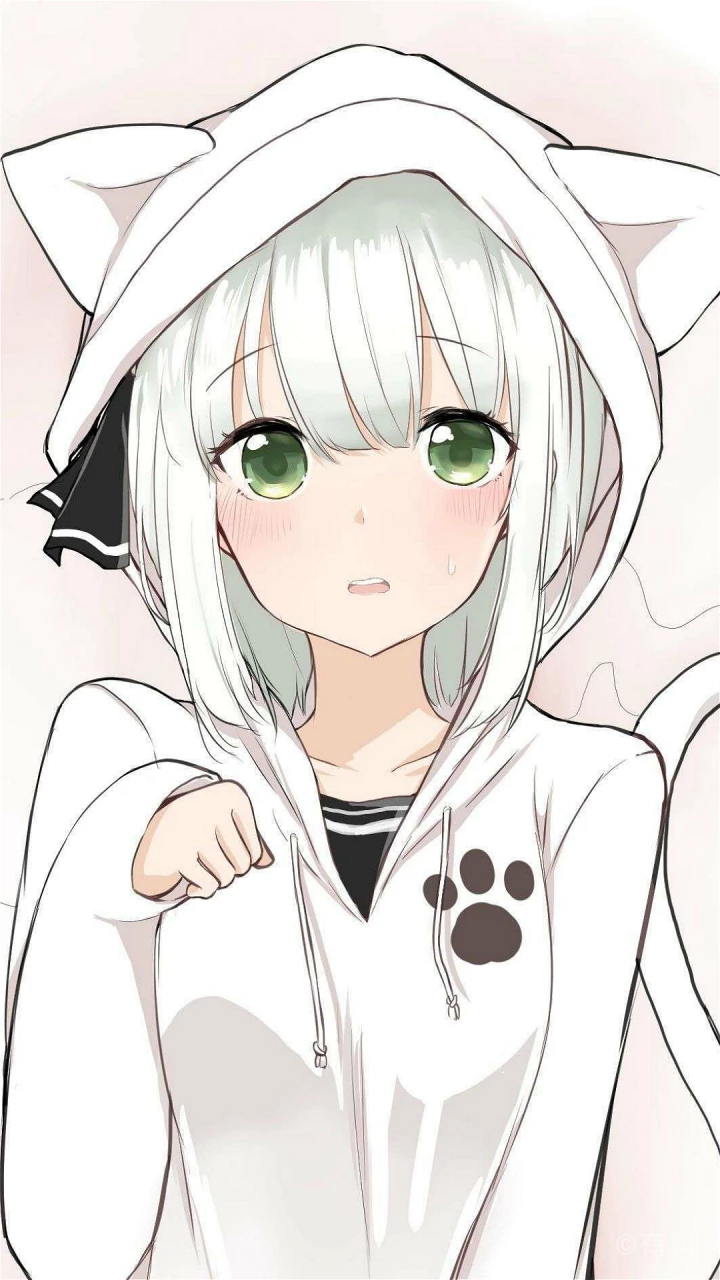 【猫系女孩】喵呜