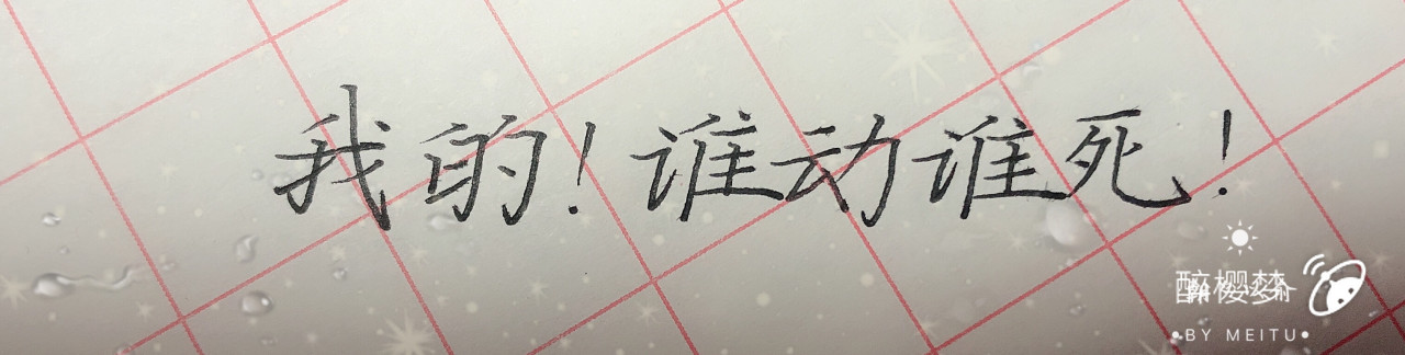 伪装学渣手写字(原创)