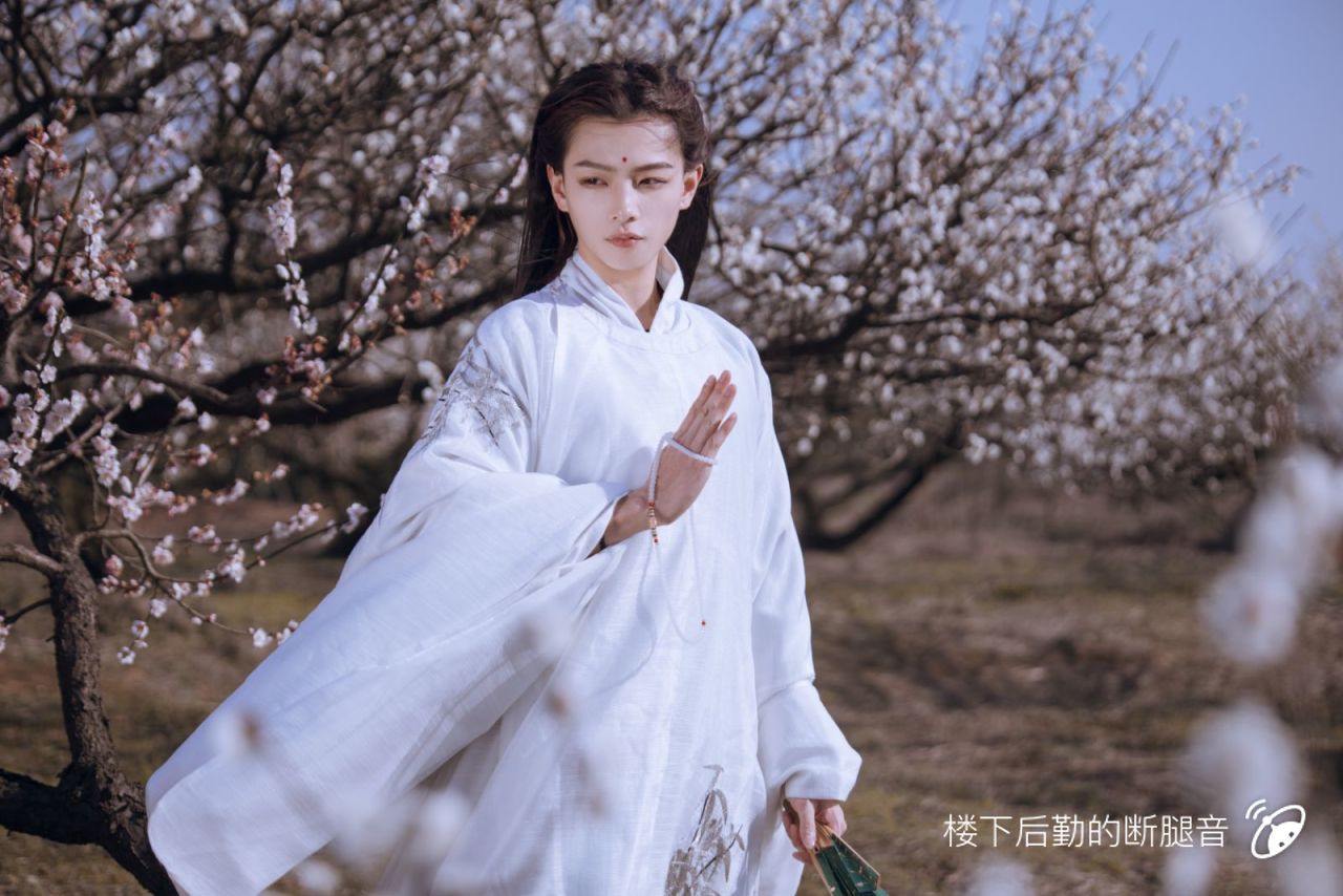 陌上人如玉 公子世无双