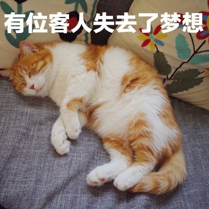 有位客人突然失去了梦想