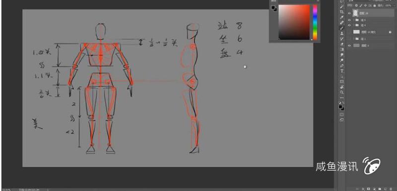 【绘画教程】【入门教程】八头身男性比例解析-人体肌肉解剖课程