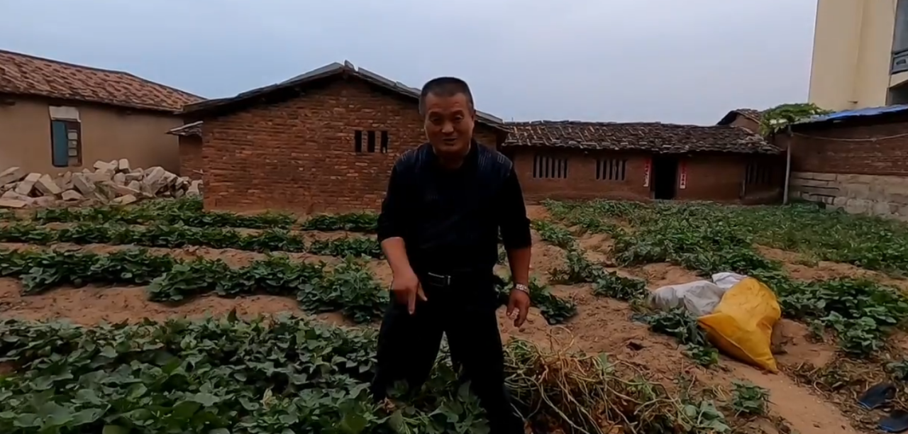 阿胖山自家种的地瓜吃不完,挖400斤做地瓜粉,看看做出来多少粉