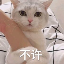 爱喝奶茶            