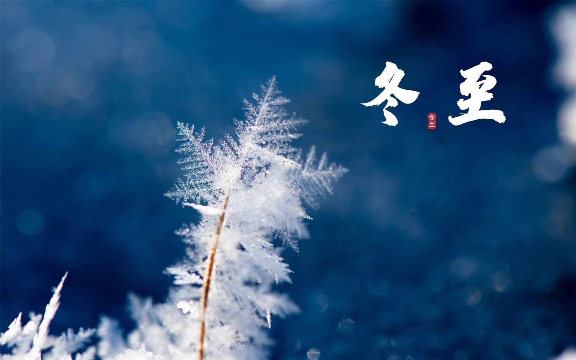 二十四节气冬至高清桌面壁纸