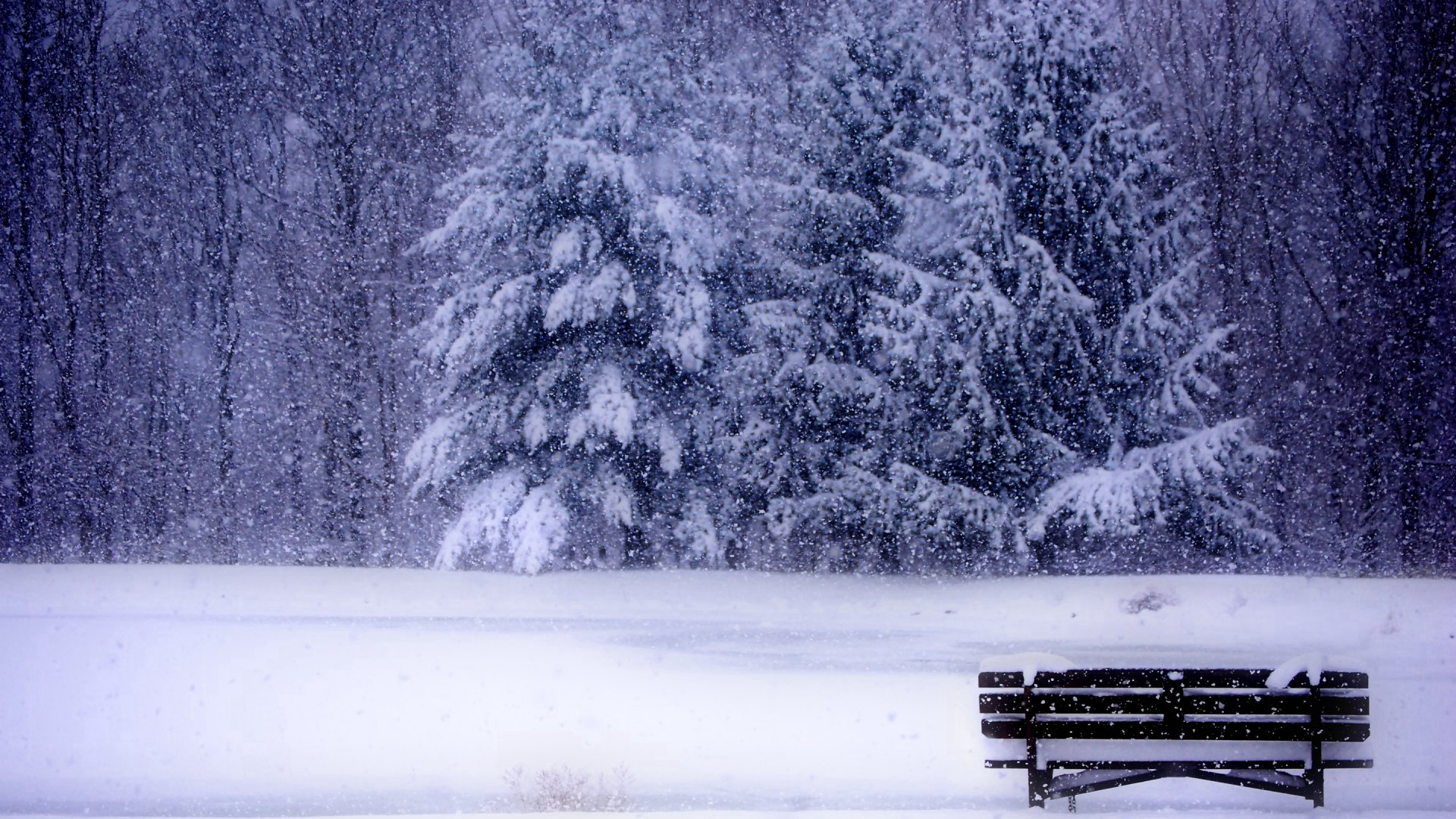 冬季清新唯美雪景高清桌面壁纸