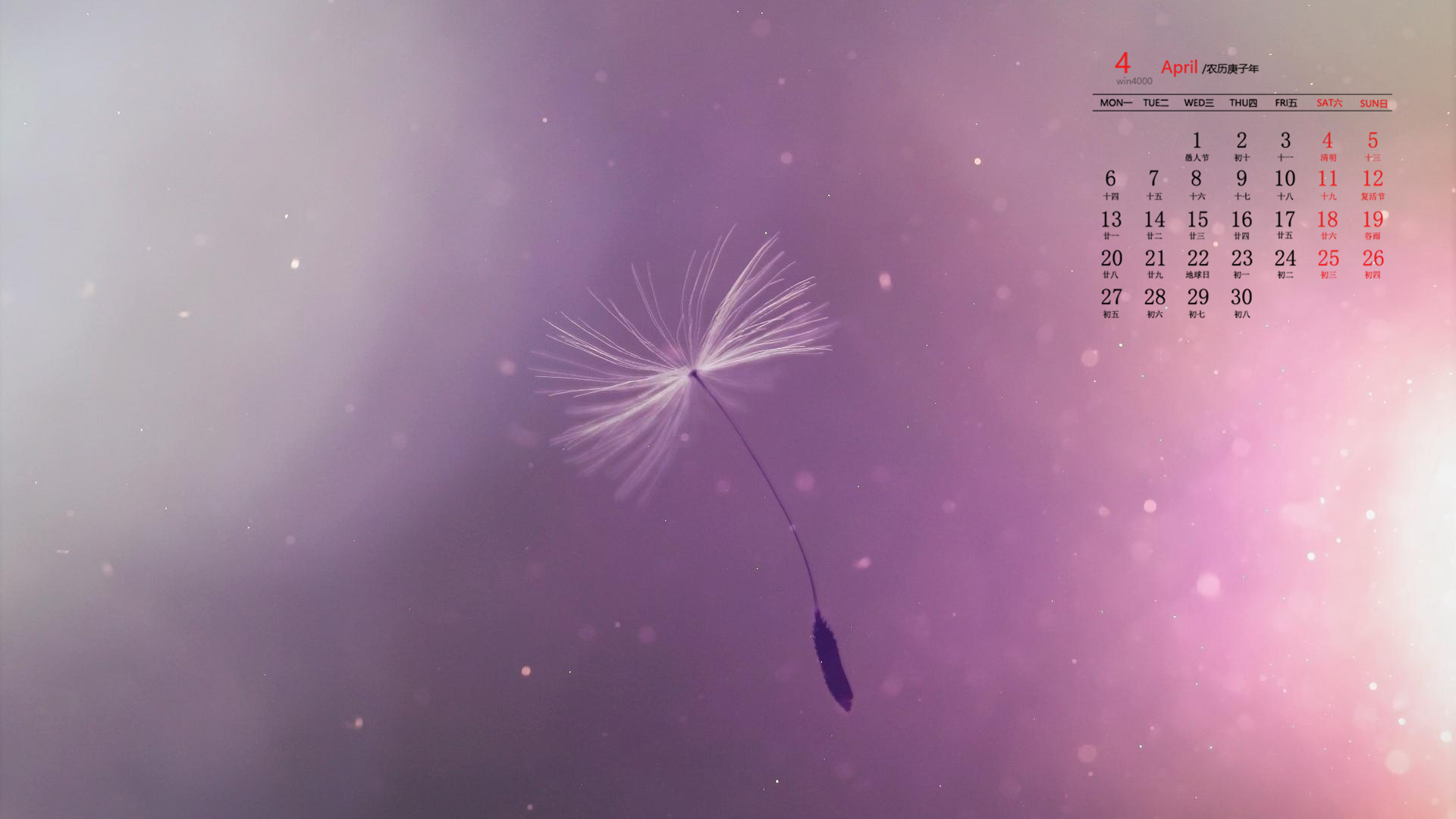 2020年4月唯美蒲公英图片日历壁纸
