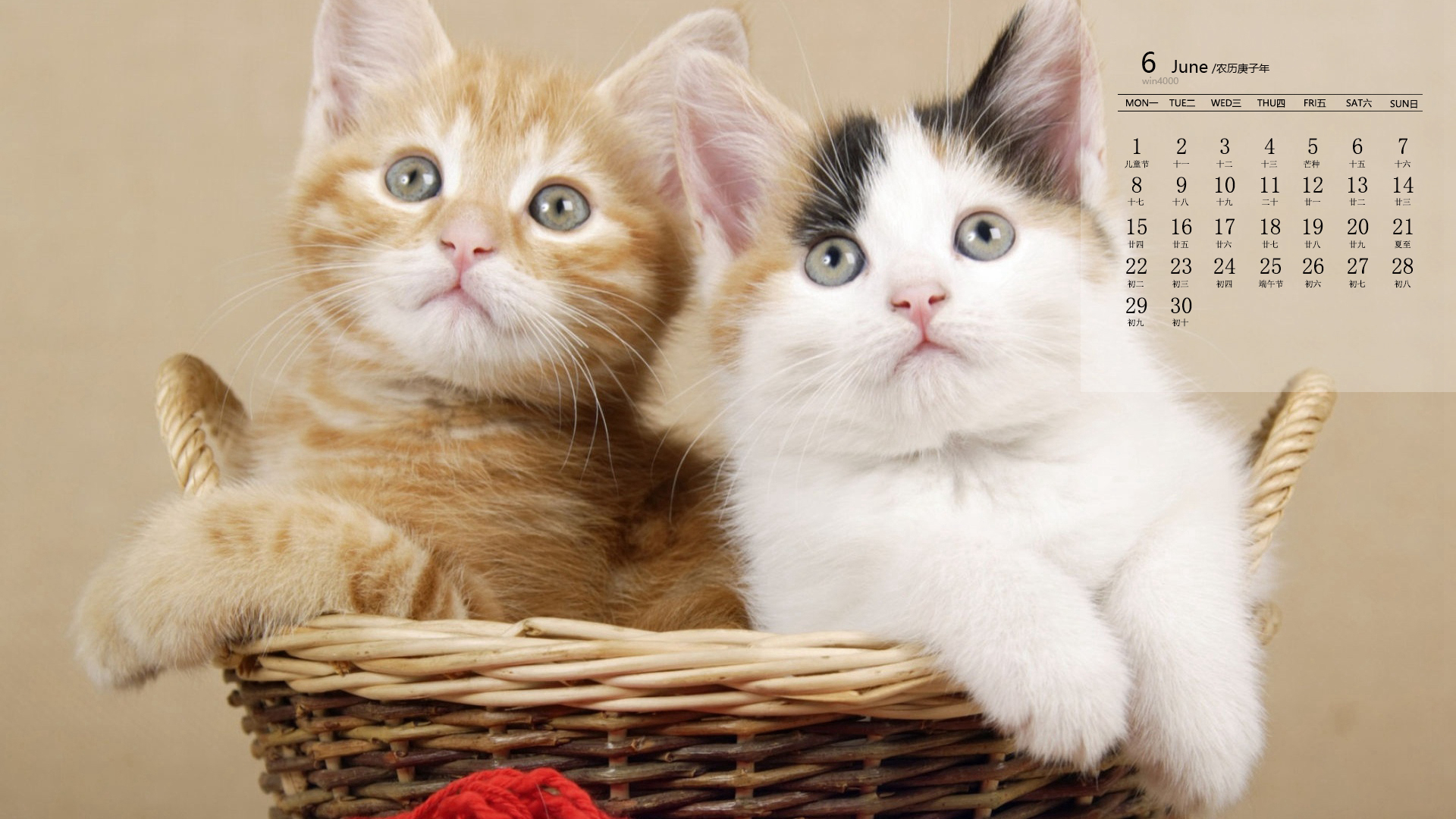 2020年6月可爱软萌猫咪日历壁纸