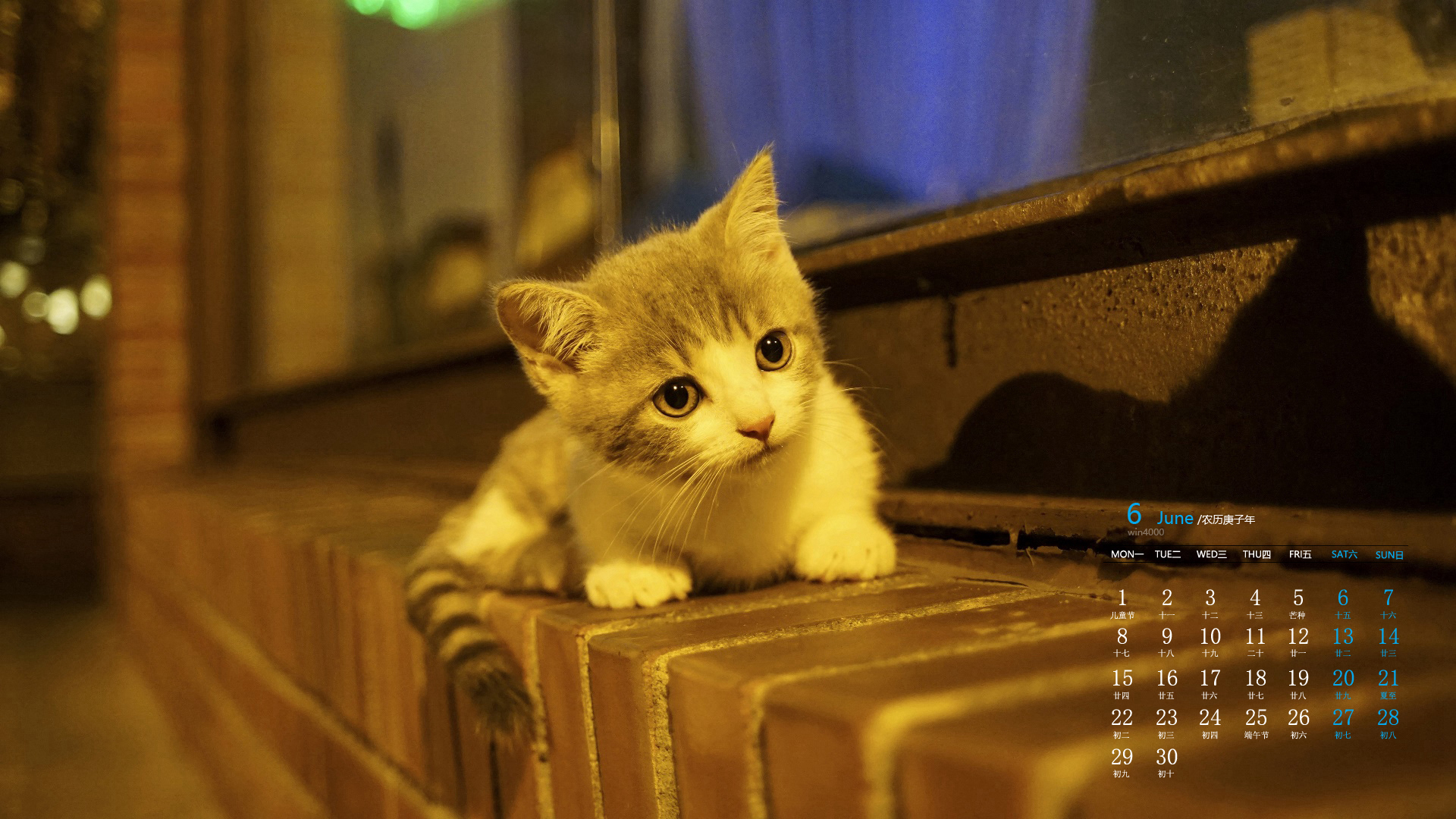 2020年6月可爱软萌猫咪日历壁纸