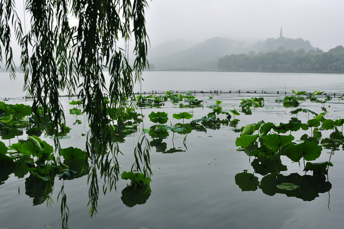 图片分享雨天