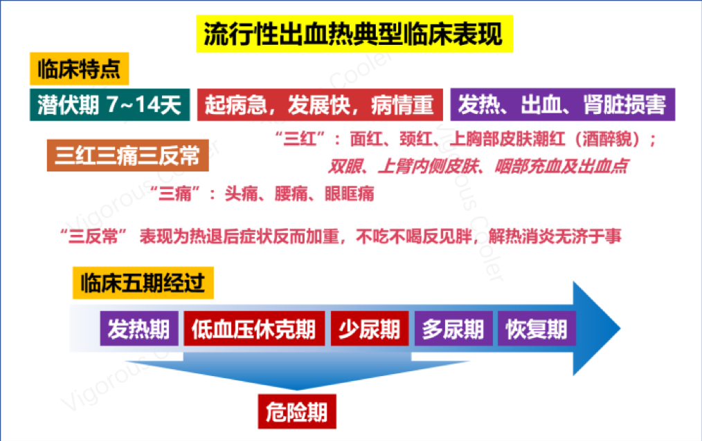 二,流行性出血热的传播,症状及预防