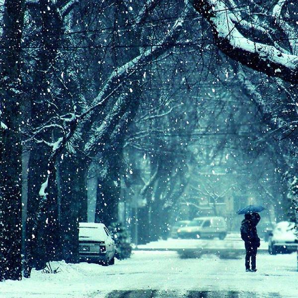 雪中漫步到南方