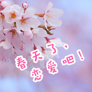 春天了，开始恋爱吧