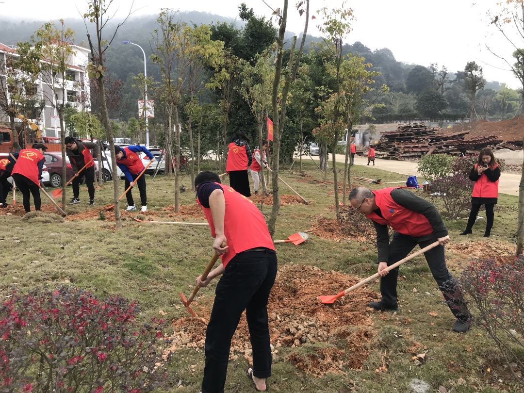 福建高速养护网 -  华体会正规平台