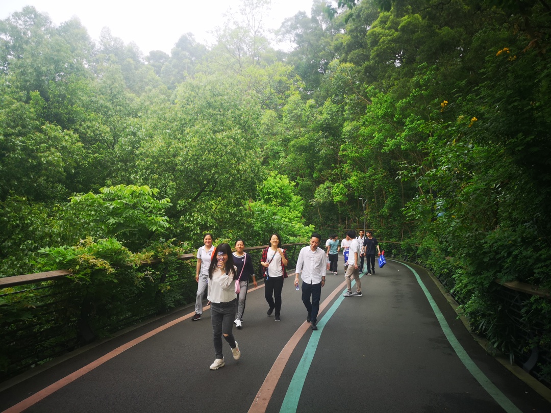 福建高速养护网 -  易游（中国）