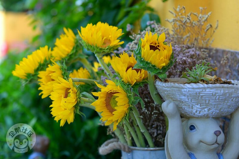 ӳɶ30Ӿ룬ˣСһ졫