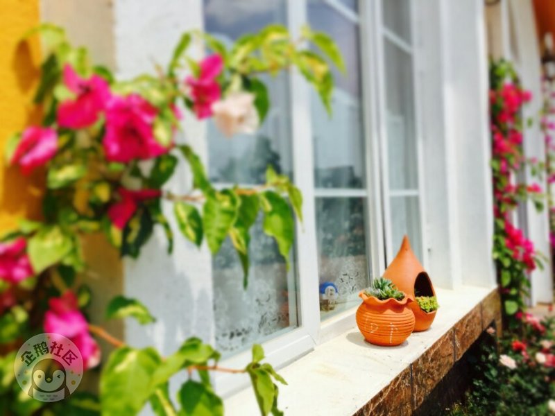 ӳɶ30Ӿ룬ˣСһ졫