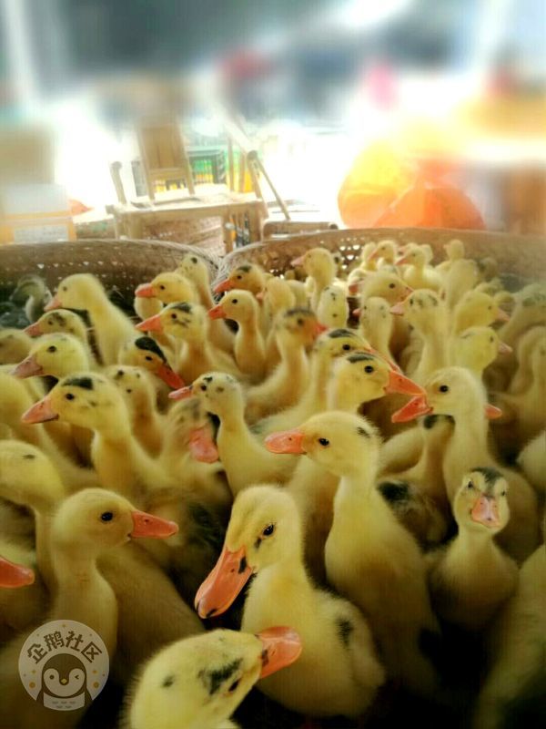 ӳɶ30Ӿ룬ˣСһ졫