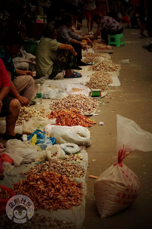 ӳɶ30Ӿ룬ˣСһ졫