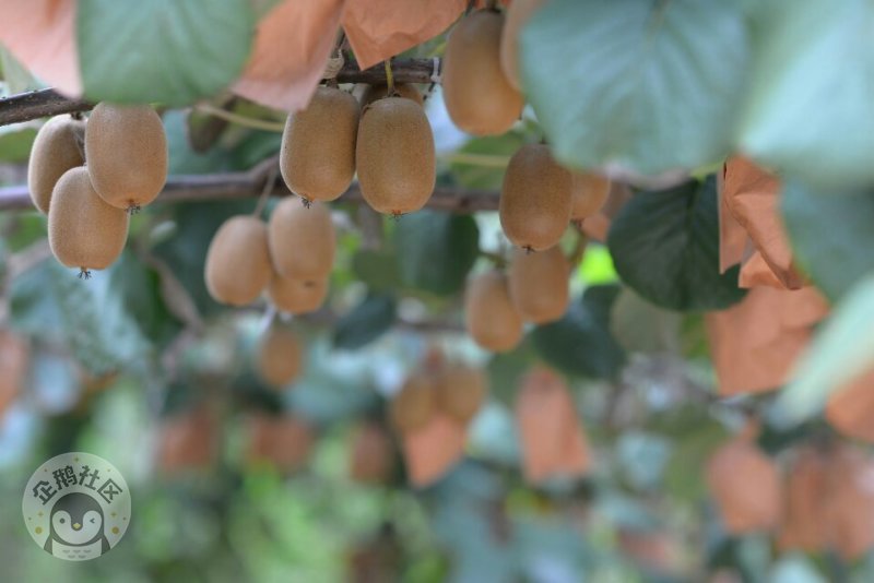 ӳɶ30Ӿ룬ˣСһ졫