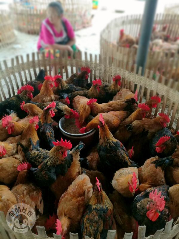 ӳɶ30Ӿ룬ˣСһ졫