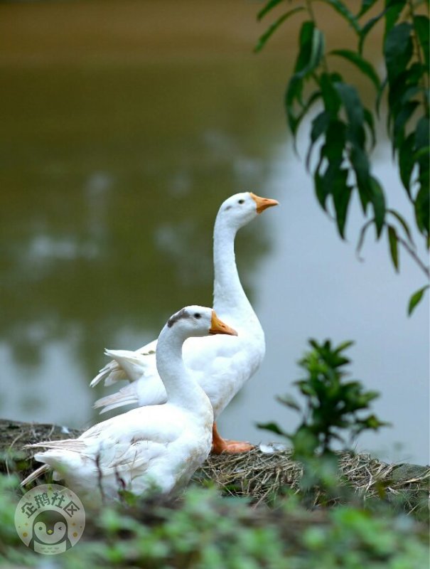 ӳɶ30Ӿ룬ˣСһ졫