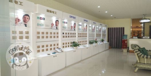 《恭喜哥暗访建材店》第二篇——还没买开关的朋友一定要注意，这行业基本都是卖假货。