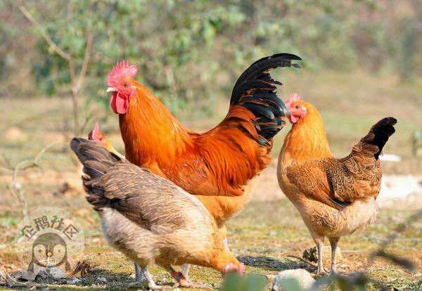 ӳɶ30Ӿ룬ˣСһ졫