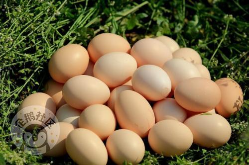 ӳɶ30Ӿ룬ˣСһ졫