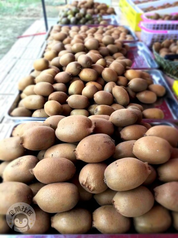 ӳɶ30Ӿ룬ˣСһ졫