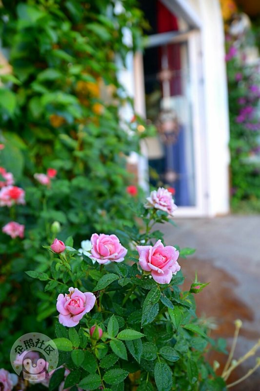 ӳɶ30Ӿ룬ˣСһ졫