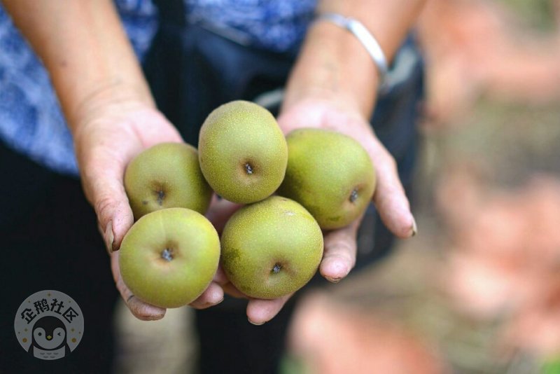 ӳɶ30Ӿ룬ˣСһ졫