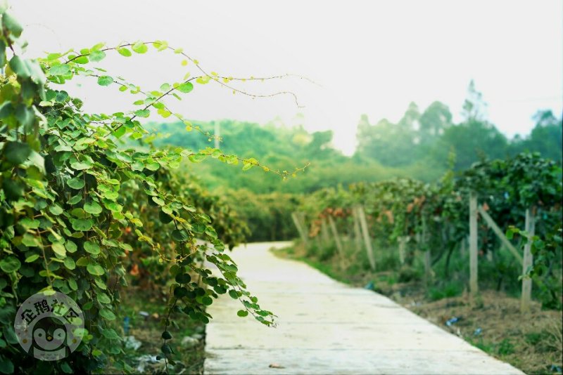 ӳɶ30Ӿ룬ˣСһ졫