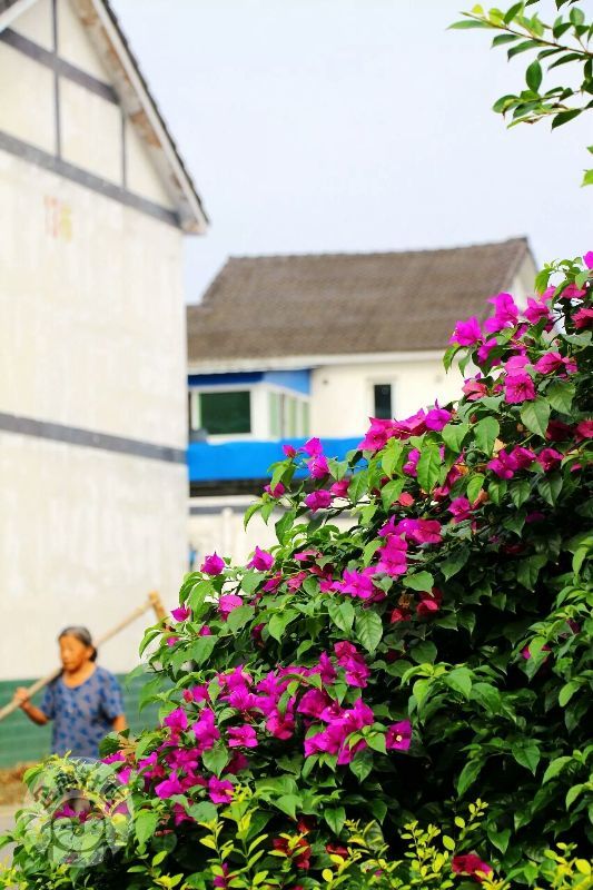 ӳɶ30Ӿ룬ˣСһ졫