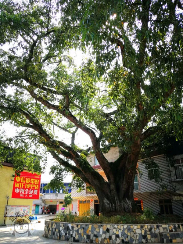 ӳɶ30Ӿ룬ˣСһ졫