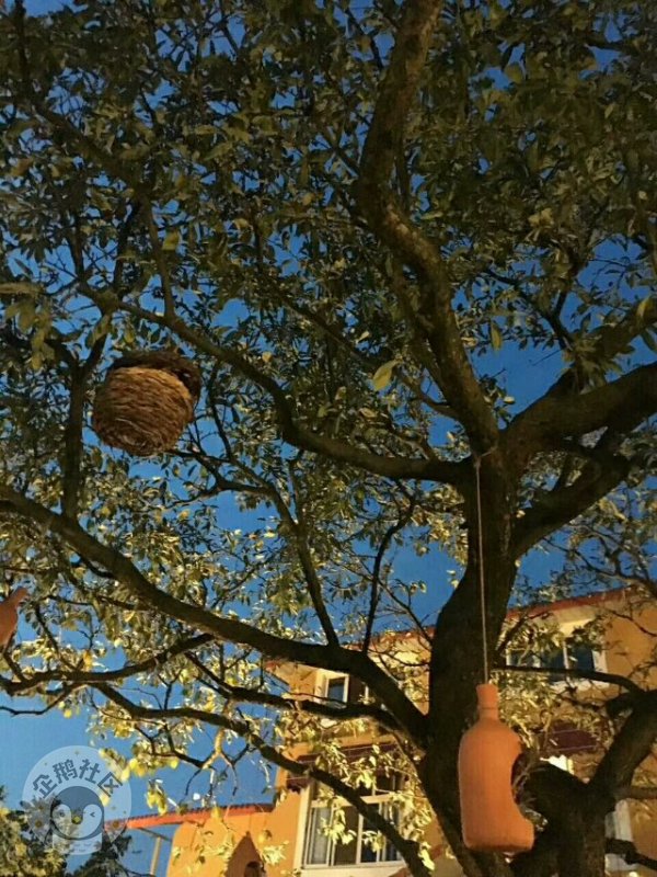 ӳɶ30Ӿ룬ˣСһ졫