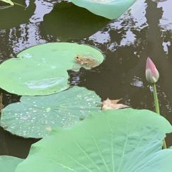 静水流深